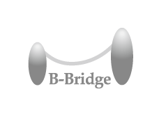 B-Bridge International, Inc.